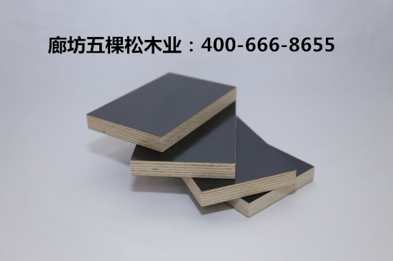 建筑模板行業(yè)隨著建筑業(yè)市場的深入迎來了新挑戰(zhàn)